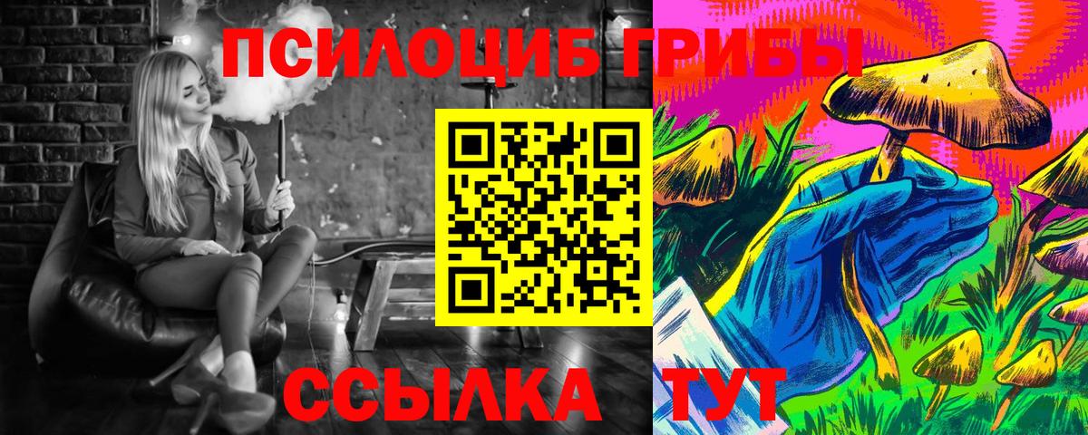 Галлюциногенные грибы Cubensis Долгопрудный